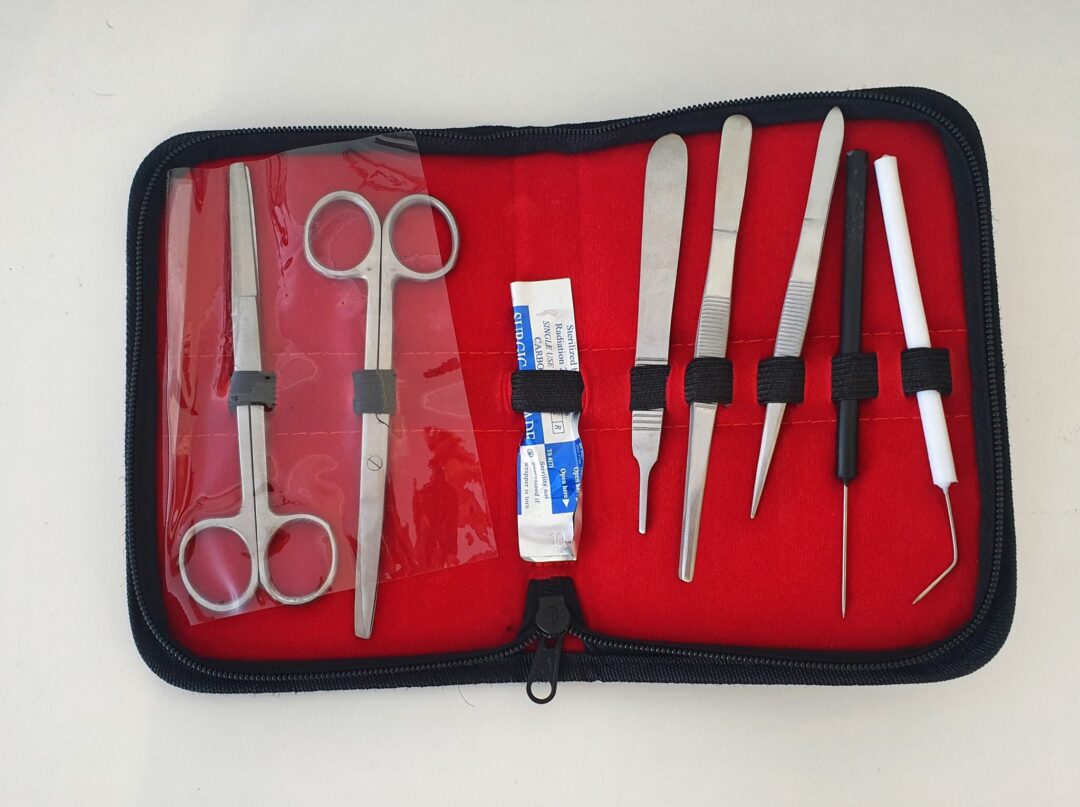 Student Dissecting Kit
