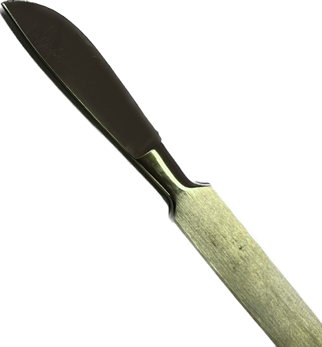 Fixed Blade Scalpel